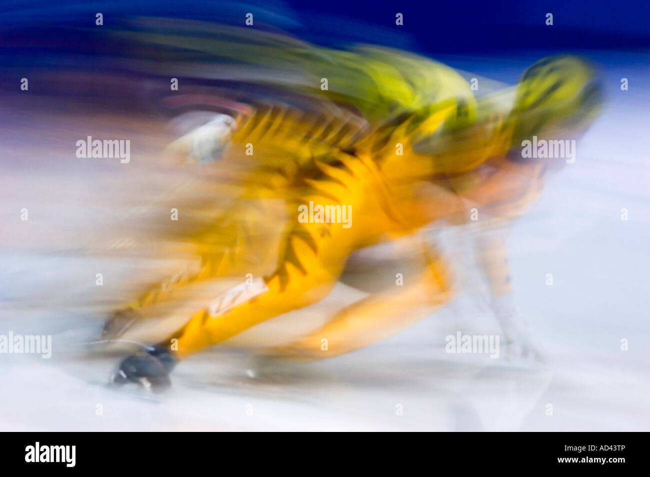 Patinaje de velocidad en pista corta canadiense competencia 500 m sprint mayor Sudbury Ontario Foto de stock