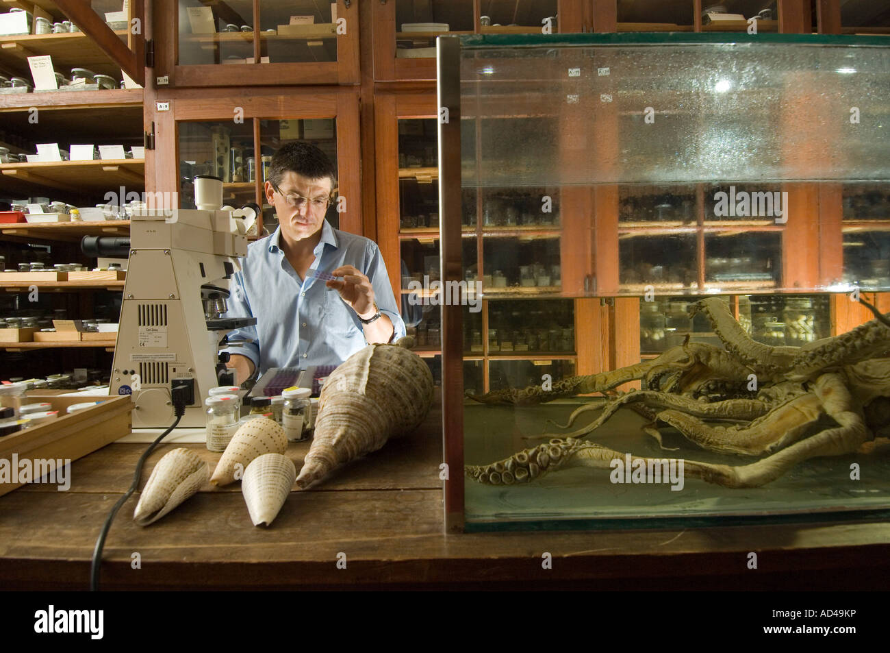 Científico, Matthias Glaubrecht, Museo de Historia Natural, Berlín, Alemania Foto de stock