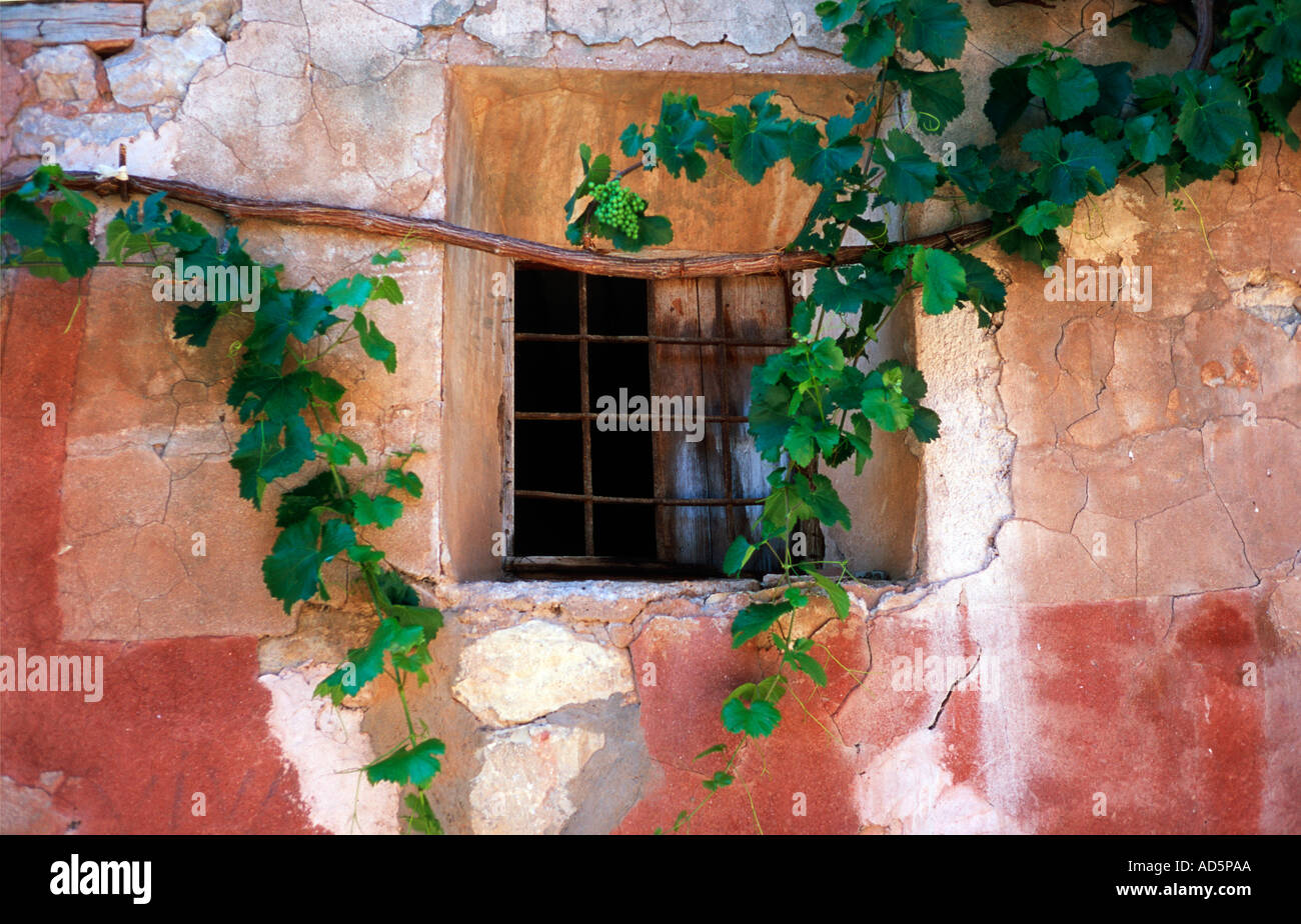 Una antigua ventana con una vid creciente sobre él en Albarracín España Foto de stock