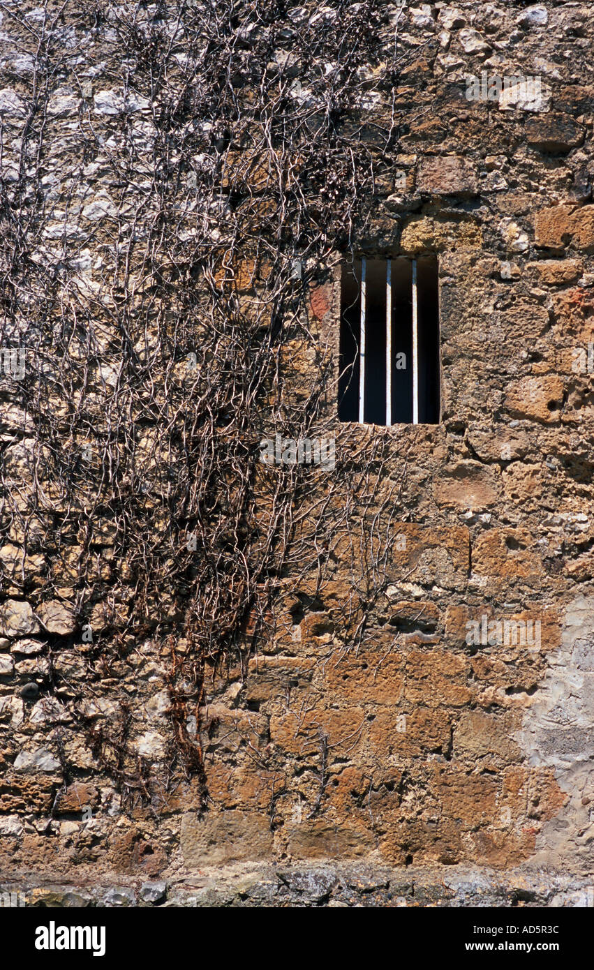 Hiedra muerta en una pared con una ventana en Francia Foto de stock