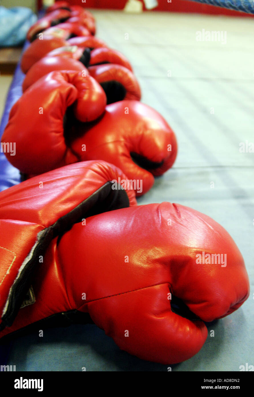 Una fila de los guantes de boxeo junto al borde de un cuadrilátero de boxeo  Fotografía de stock - Alamy