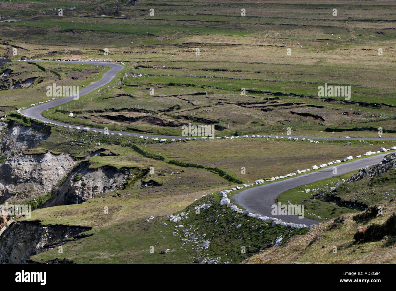 Un camino marcado con piedras blancas serpentea su camino cuesta abajo