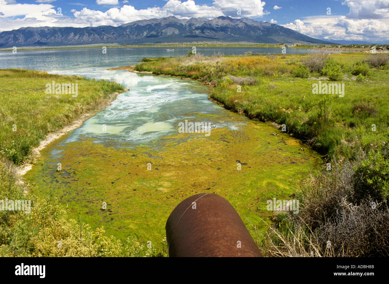 Las algas en el borde de los lagos de San Luis con las montañas de Sierra Blanca Colorado, EE.UU. Foto de stock