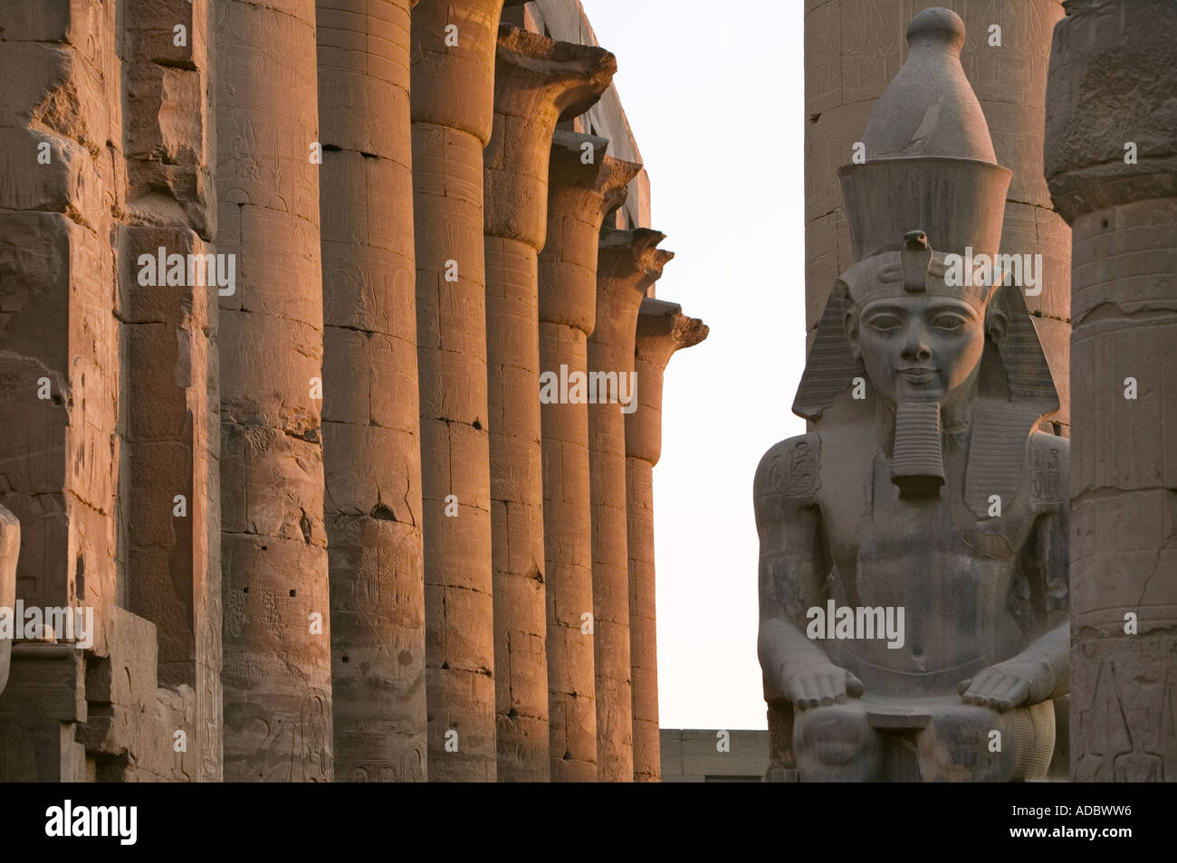 Uno de los colosos de Ramsés II en la corte de Ramsés II en el Templo de Luxor, Egipto Foto de stock