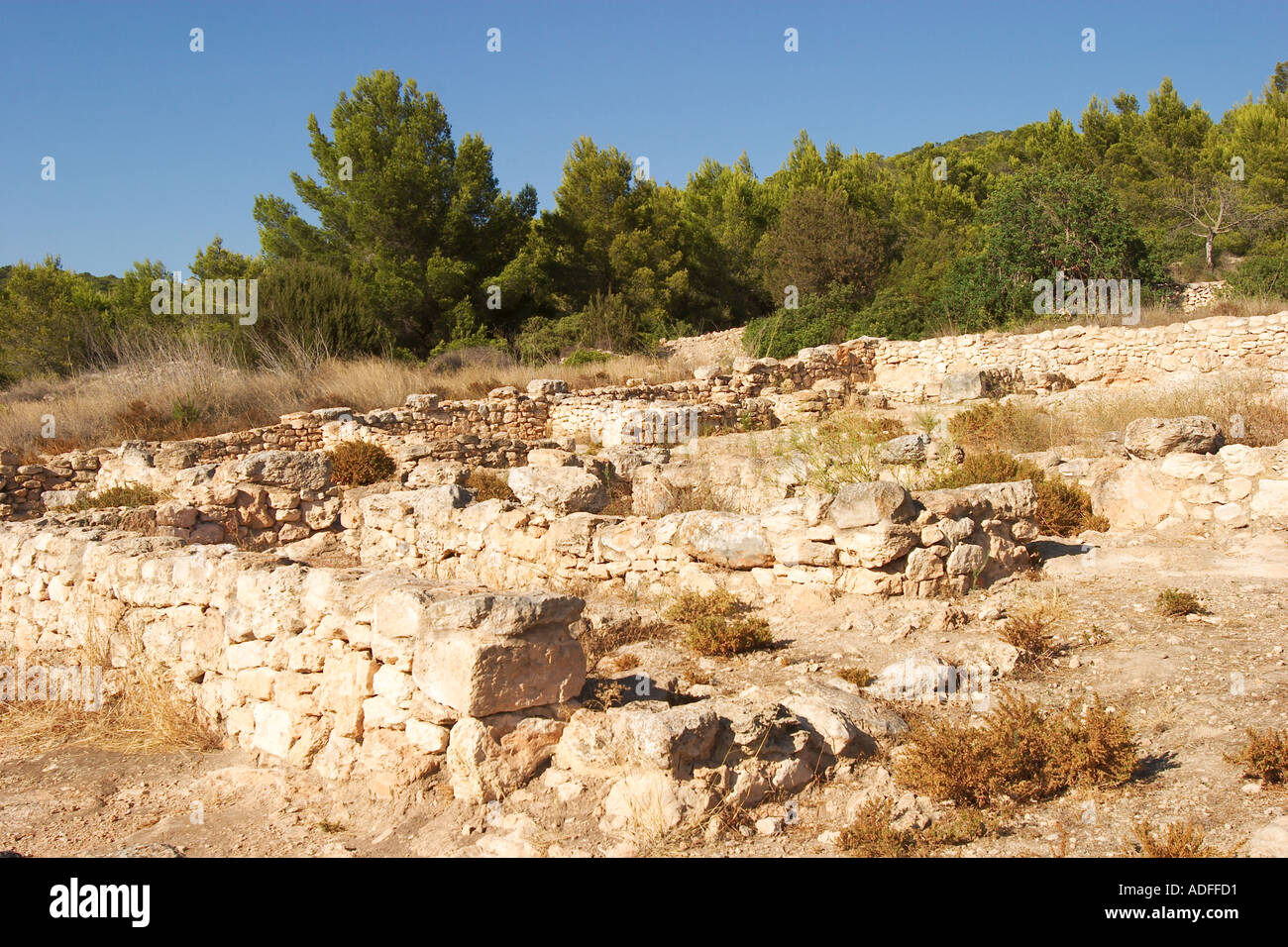 Excavaciones arqueológicas Ses Paises de Cala d'Hort en Ibiza Foto de stock