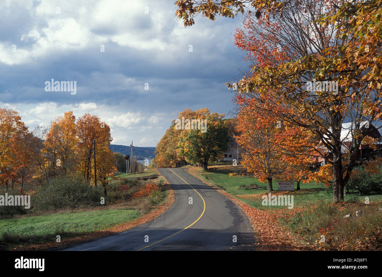 País Rural camino a lo largo del Río San Juan en New Brunswick pasado arces en pleno otoño o el follaje de otoño Foto de stock