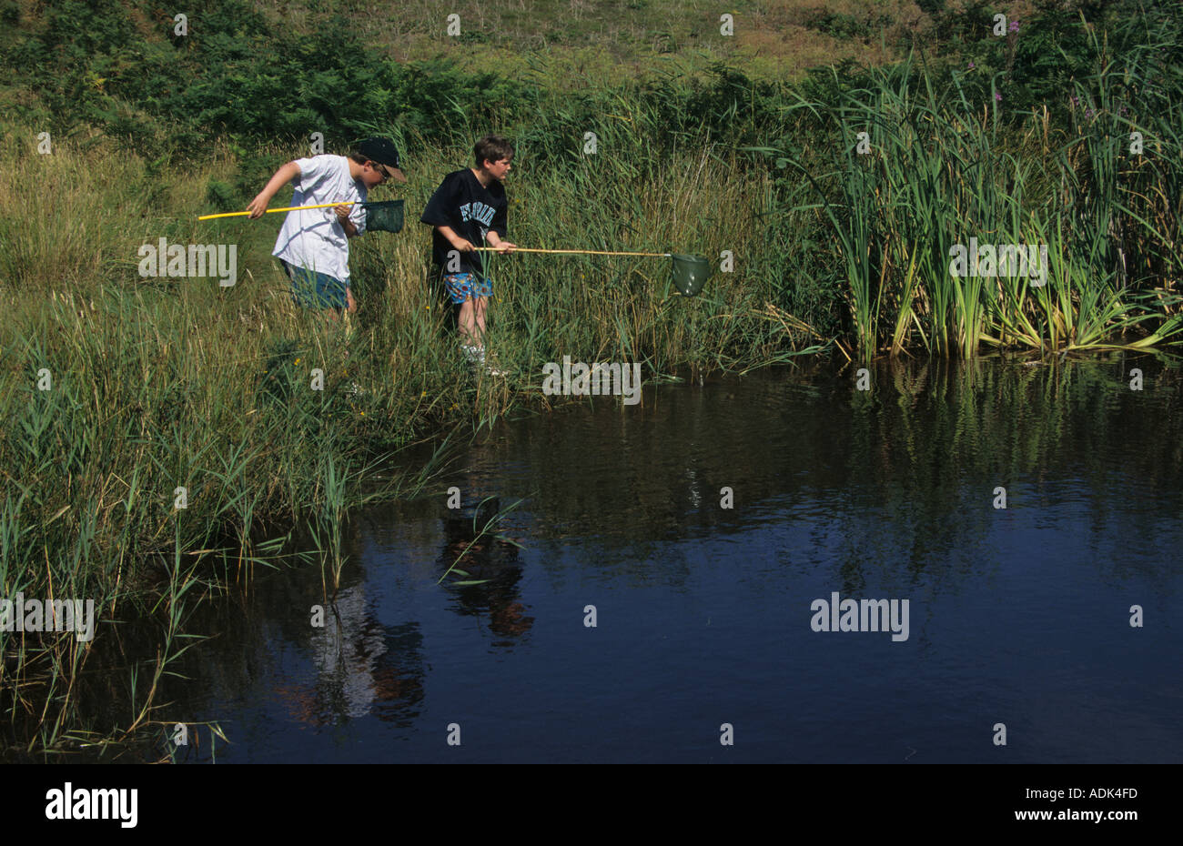 La educación para la conservación de la familia abatido estanque buscando invertebrados Foto de stock