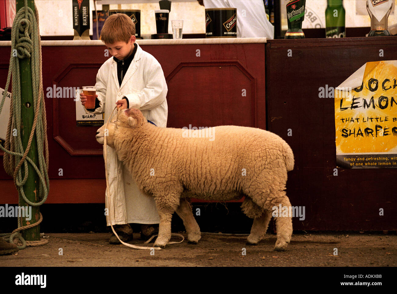 Un joven STOCKMAN en la tienda de cerveza después de mostrar sus ovejas en el Royal Bath y WEST SHOW SOMERSET UK Foto de stock