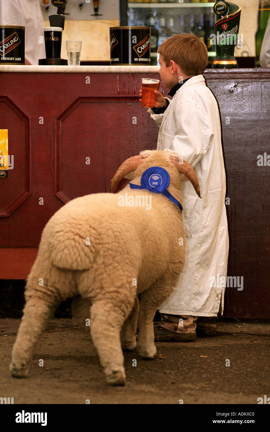 Un joven STOCKMAN en la tienda de cerveza después de mostrar sus ovejas en el Royal Bath y WEST SHOW SOMERSET UK Foto de stock