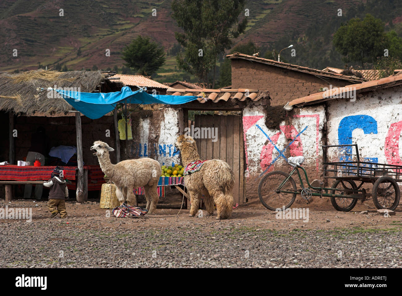 Calle escena peruana y el estilo de vida: vendedor de helados Local  Delivery man en un triciclo de tres ruedas amarilla en una calle de  Miraflores, Lima, Perú Fotografía de stock -