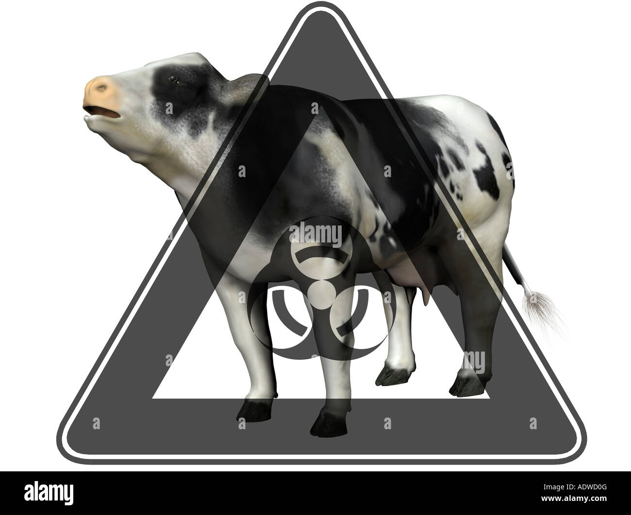 Imagen simbólica para la epidemia de peste en el ganado Foto de stock