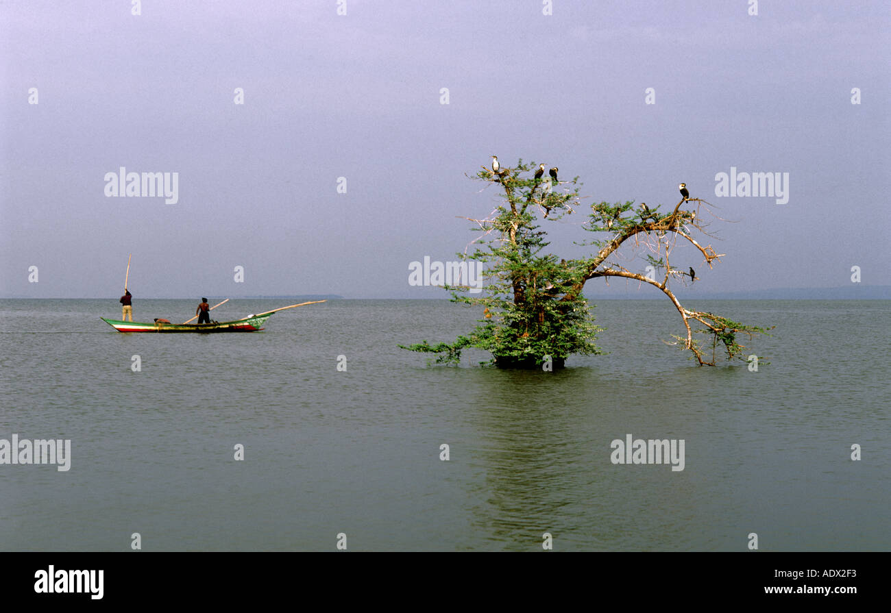 Pesca en el Lago Victoria en Kenya Foto de stock