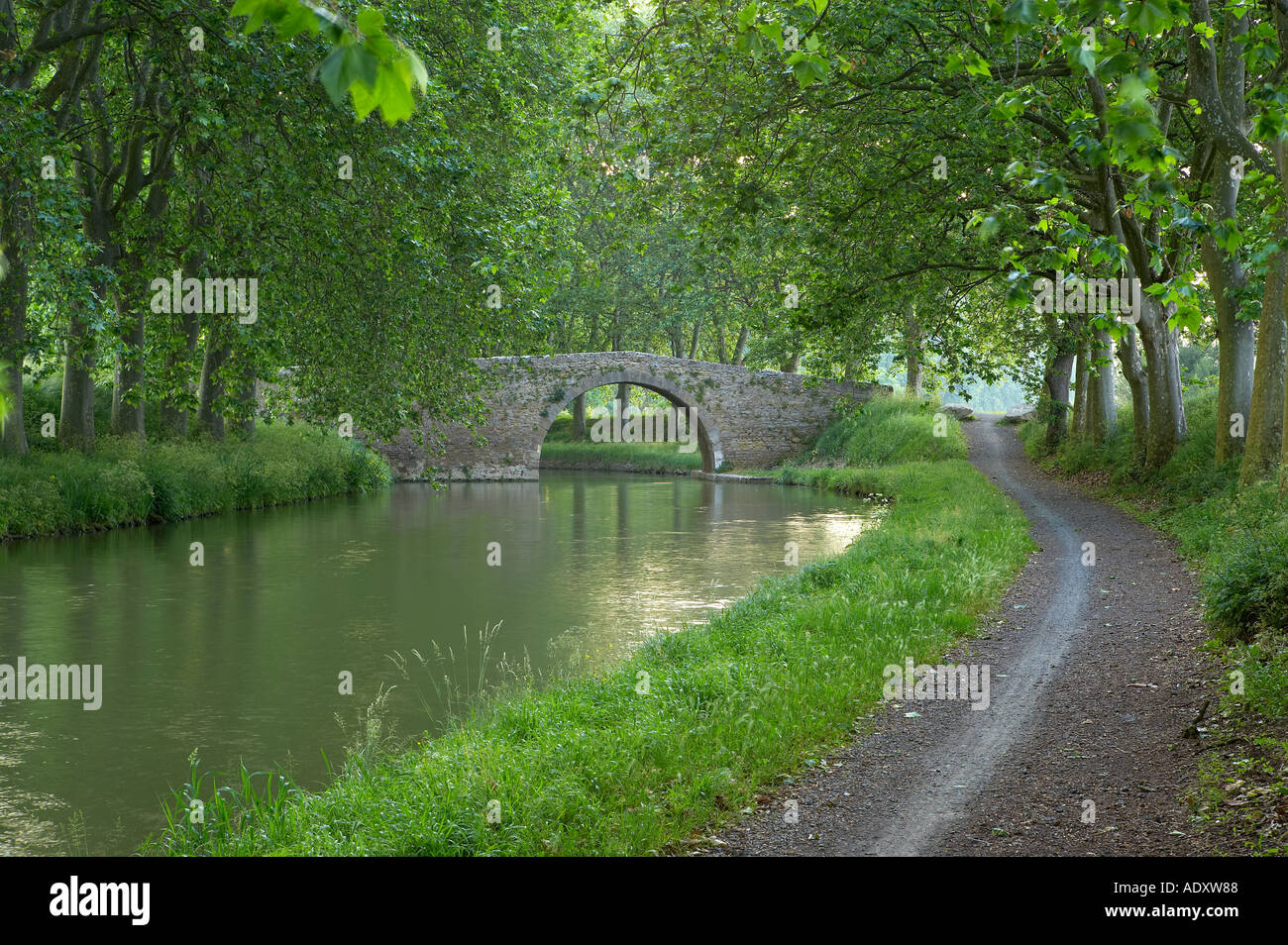 Ruta del remolque en el Canal du Midi nr Carcassonne Languedoc Francia Foto de stock