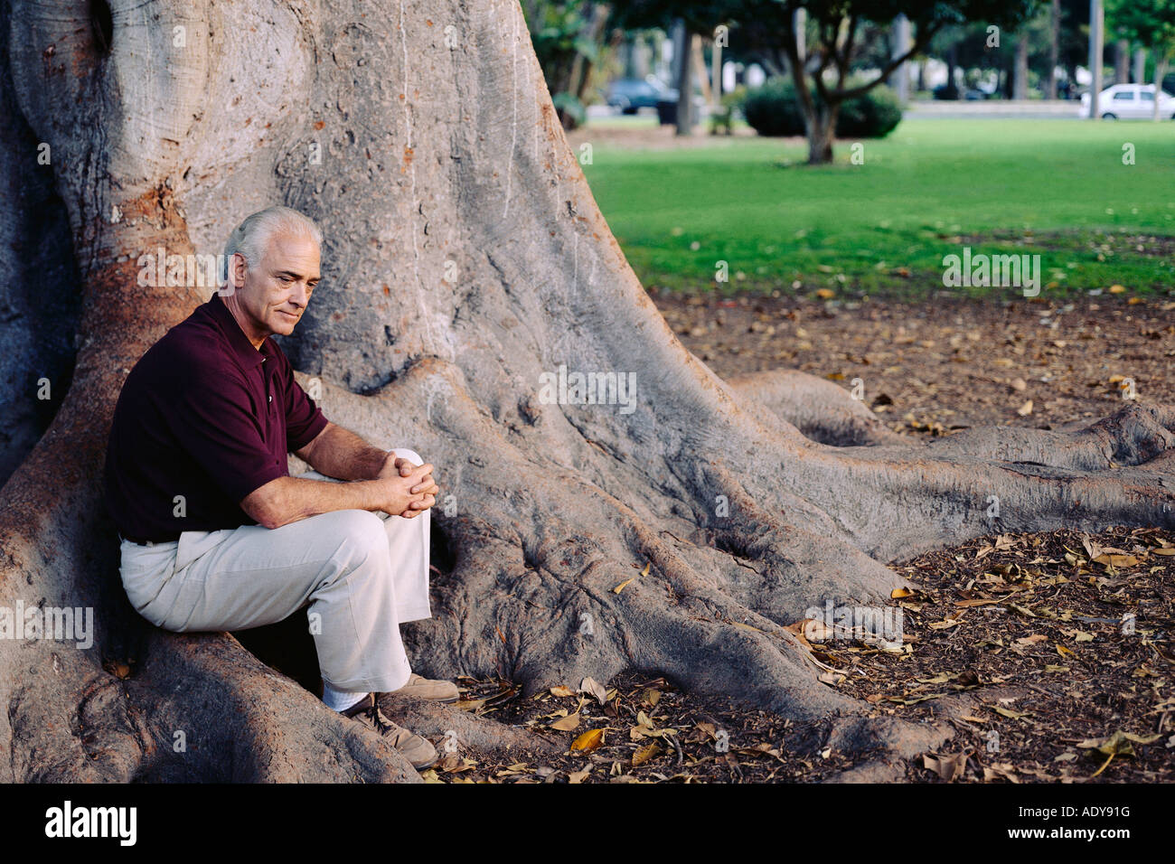 Hombre sentado en la base del árbol Foto de stock