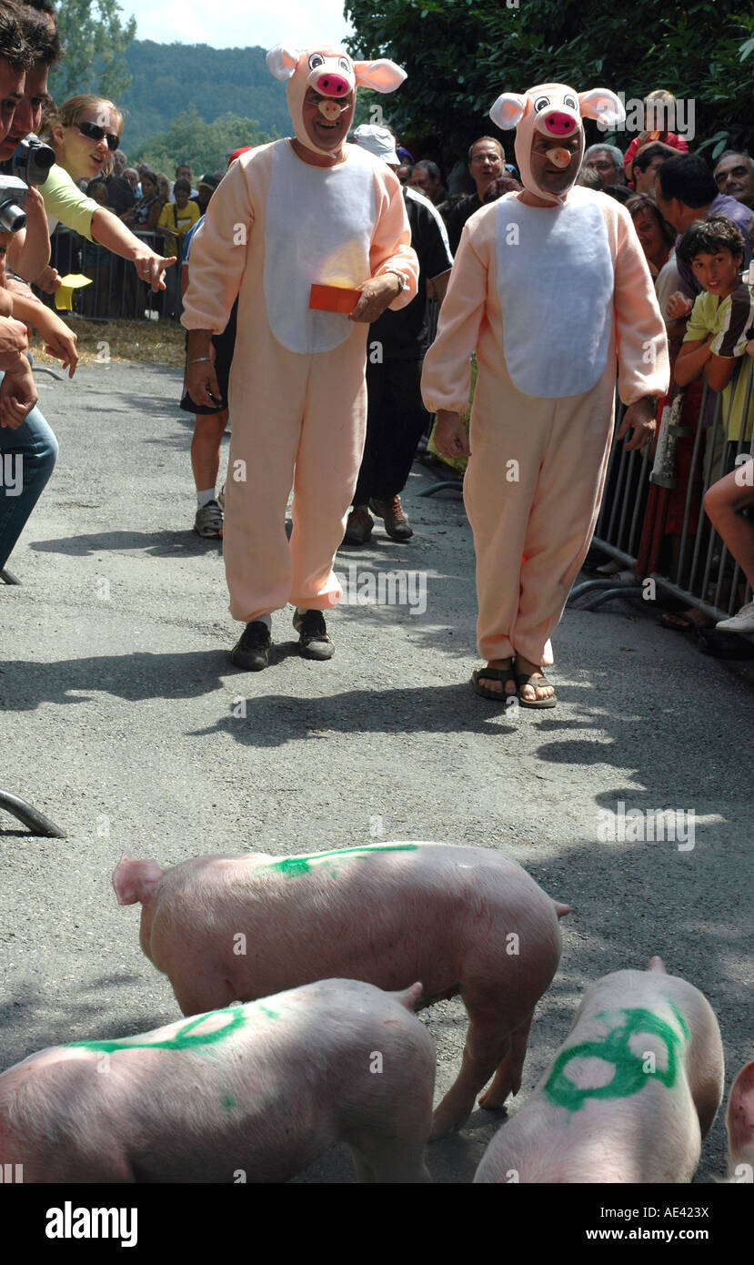 Raza stewards en traje de cerdo y aplaudiendo los apostadores de instar a  los lechones a la meta en una carrera durante un festival francés de los  criadores de cerdos' Fotografía de