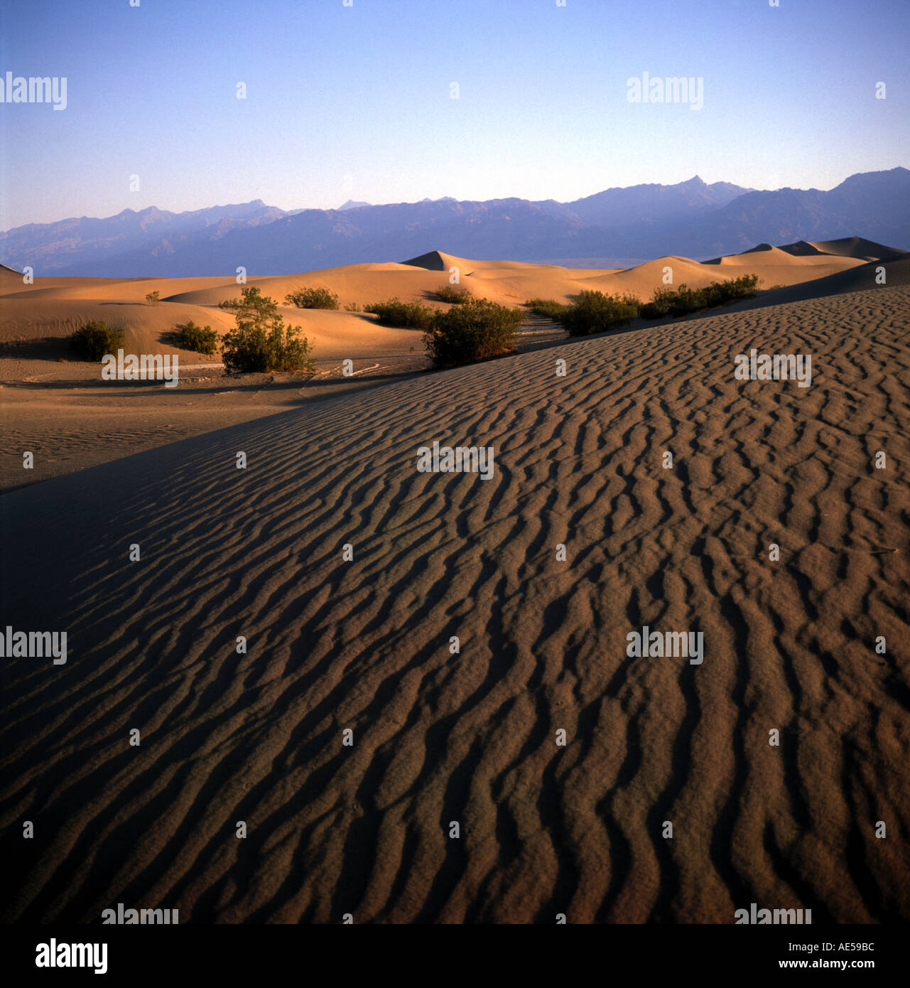 Dunas de Arena cerca de Stovepipe Wells Death Valley California EE.UU. Foto de stock