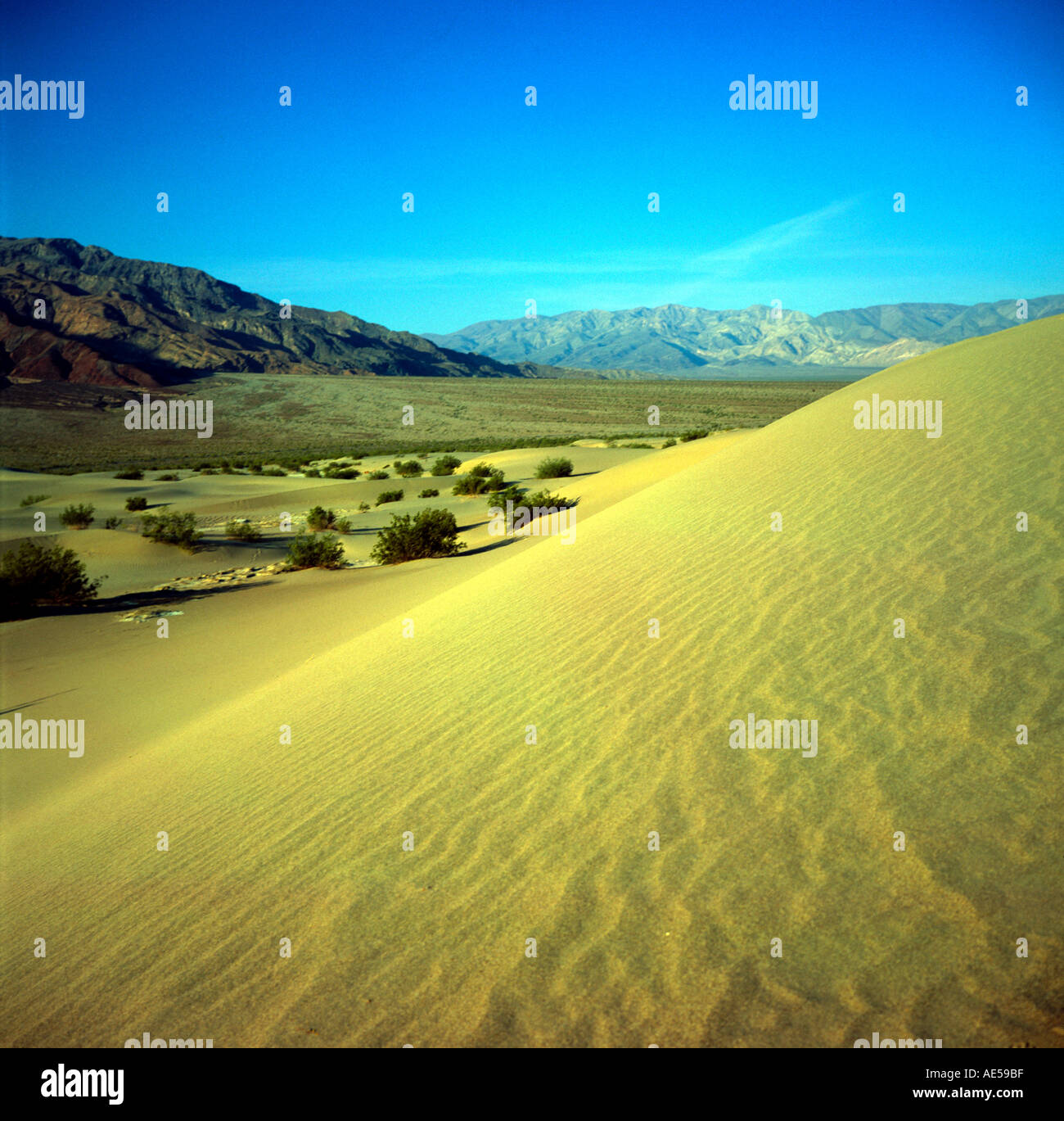 Dunas de Arena cerca de Stovepipe Wells Death Valley California EE.UU. Foto de stock