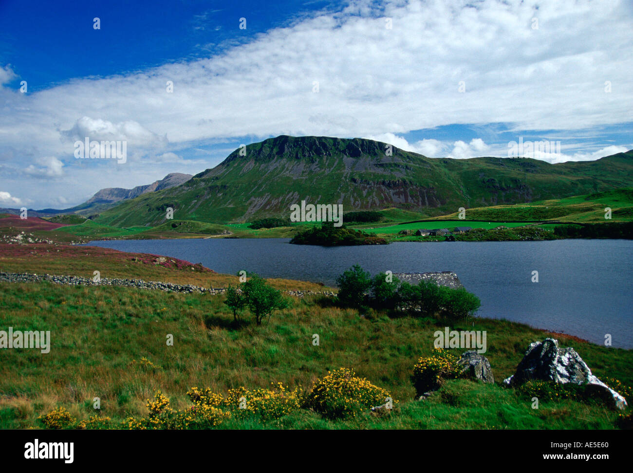 Cader Idris Montaña en Gales, Reino Unido Foto de stock