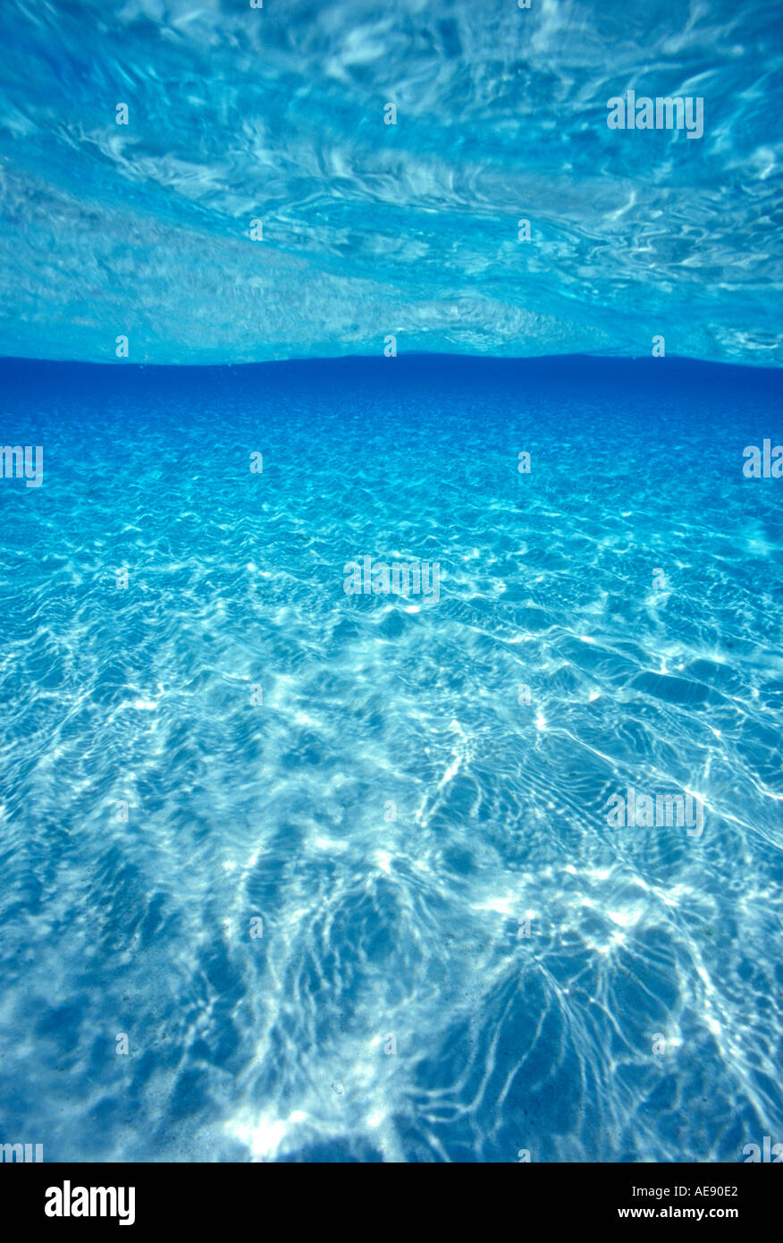 Vista bajo el agua superficial en las Islas Maldivas, Océano Índico Foto de stock