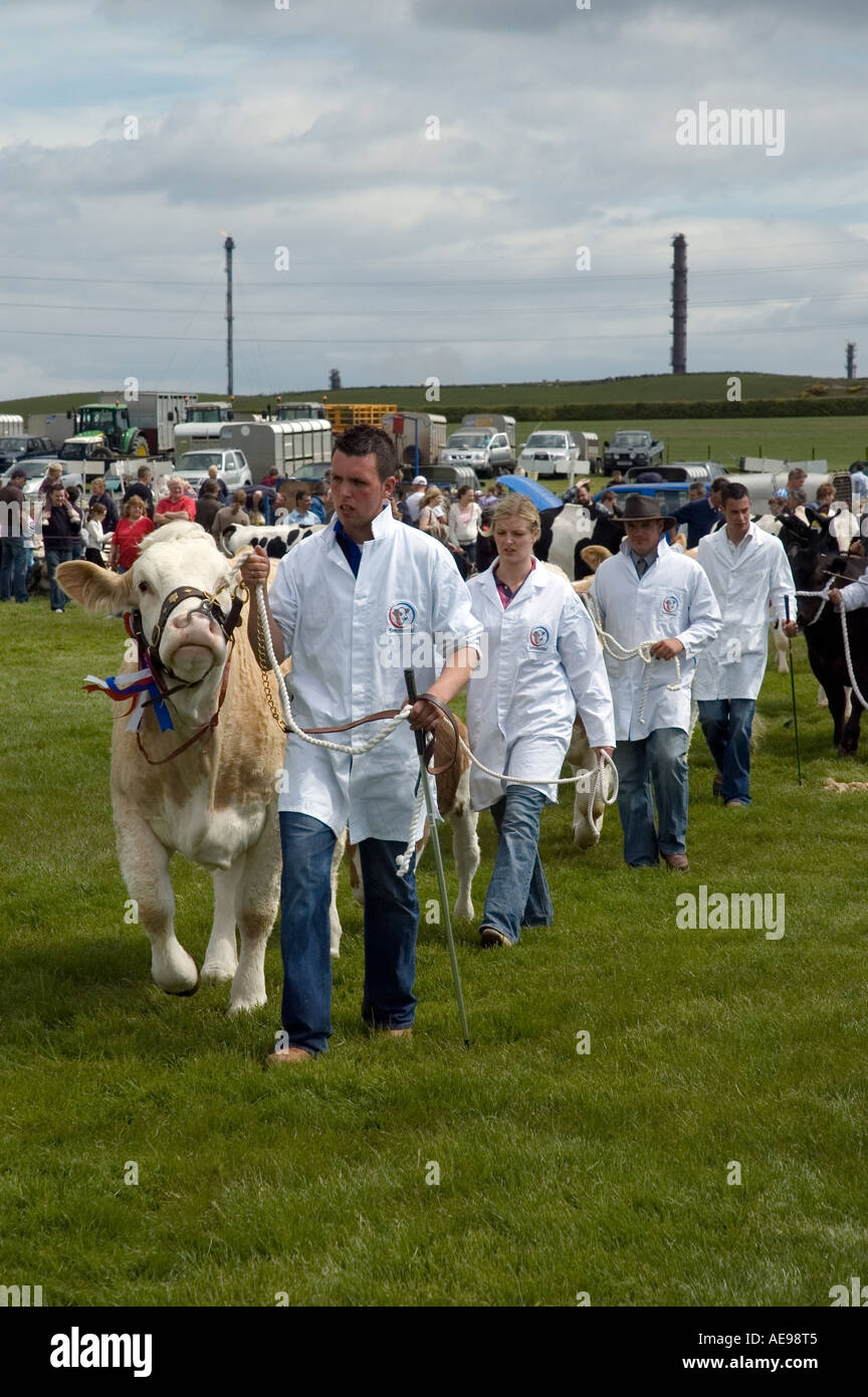 Ganador del premio ganado en Grand Parade en la parte central y occidental de Fife Show agrícola anual de junio de 2006 Foto de stock