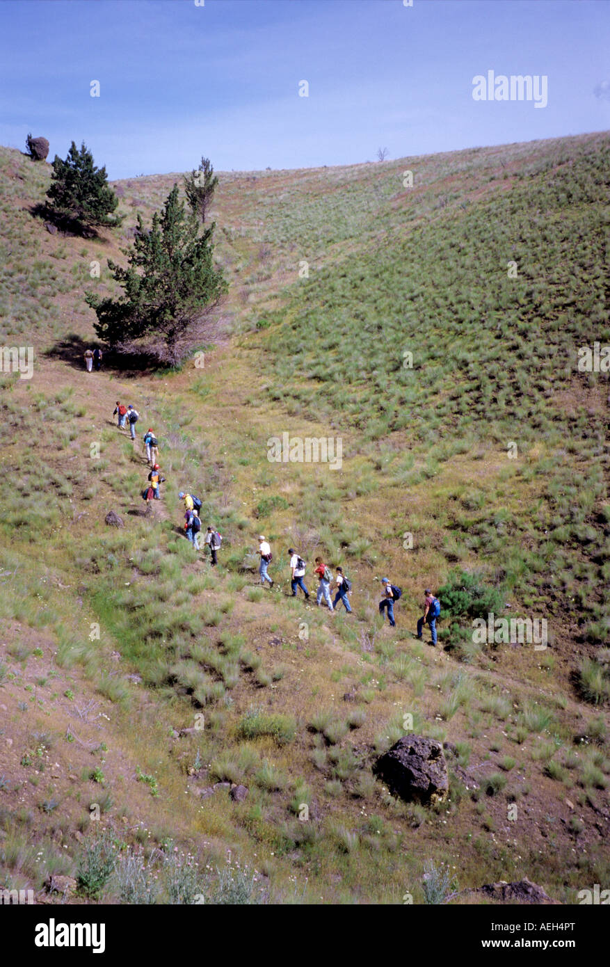 Los estudiantes con instructor sobre ecología viaje de campo Field Station Hancock Oregon Foto de stock