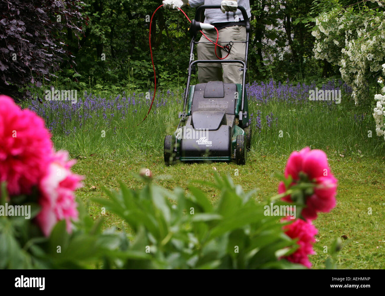 Mann mit laueft Symbolbild RASEN MAEHER, MODELO LIBERADO Foto de stock