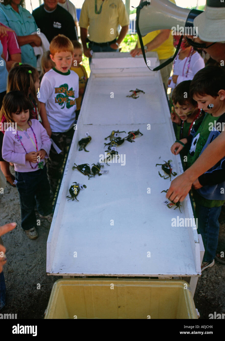 Carrera de cangrejos en Florida, EE.UU. en una feria Foto de stock