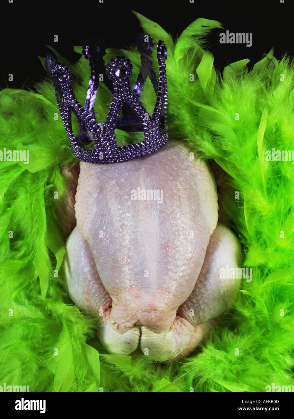 Horno pollo preparado con boa de plumas y corona Fotografía de stock - Alamy