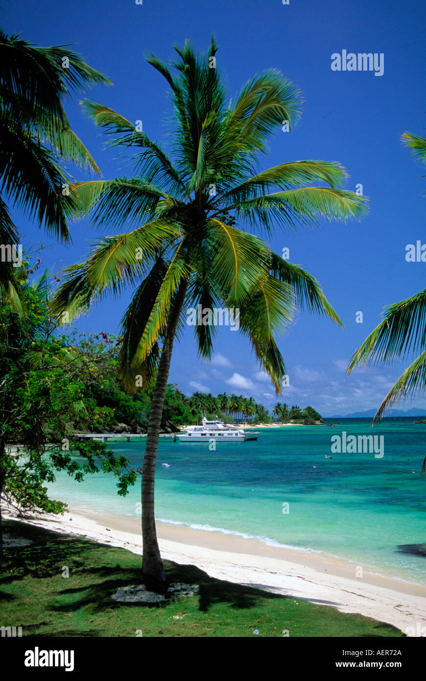 Playa República dominicana archipiélago de las Antillas Mayores del Caribe  Fotografía de stock - Alamy