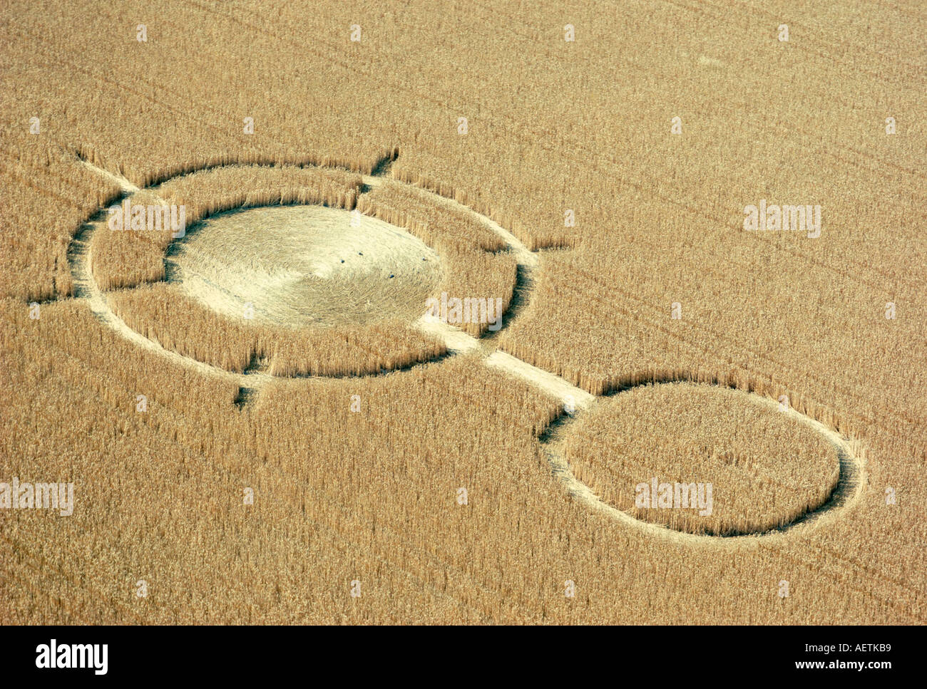 Imagenes En Campos De Trigo En Inglaterra