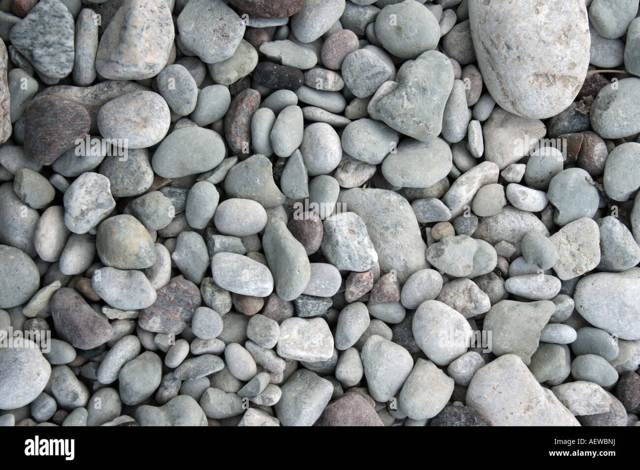 En la playa de piedras redondeadas de Visby en Gotland Suecia Foto de stock