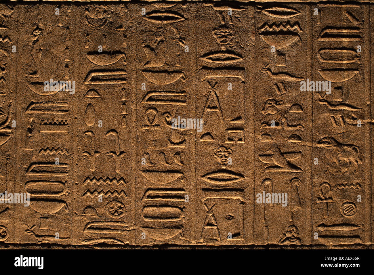 Jeroglíficos en el Templo de Filae, Egipto Foto de stock