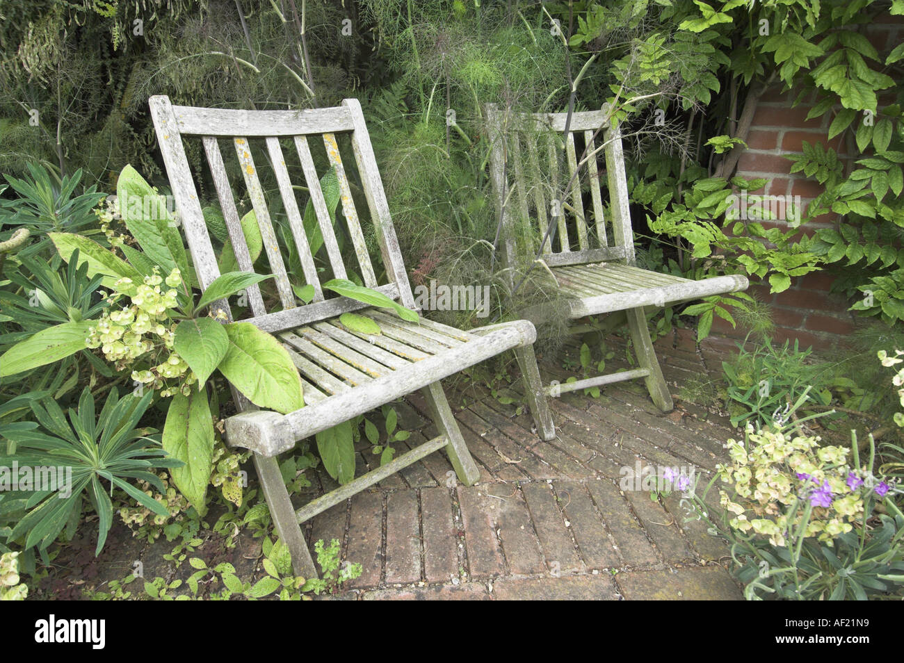 Antiguas sillas de jardín de madera rústica en un rincón de sombra Foto de stock
