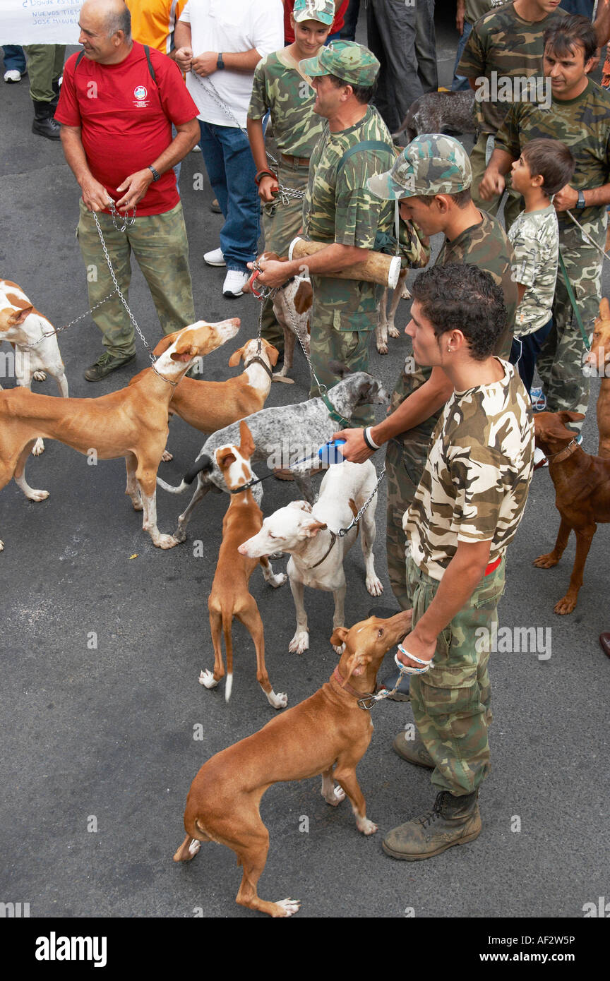 Los cazadores españoles y sus perros (raza podenco canario) que protestaban  afuera del ayuntamiento de Las Palmas de Gran Canaria Fotografía de stock -  Alamy