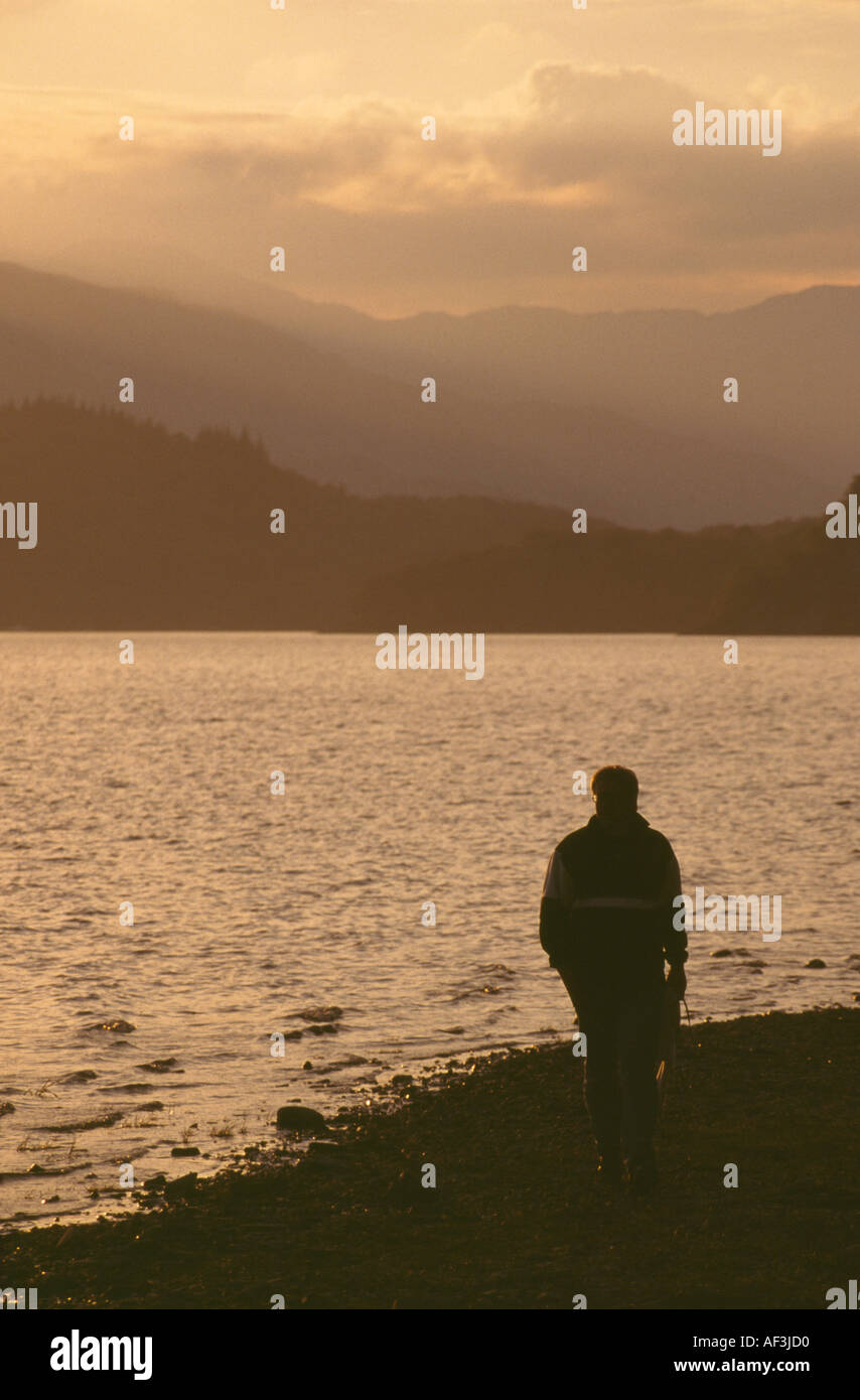 Atardecer pasear Loch Lomond Stirlingshire Scotland Reino Unido Foto de stock