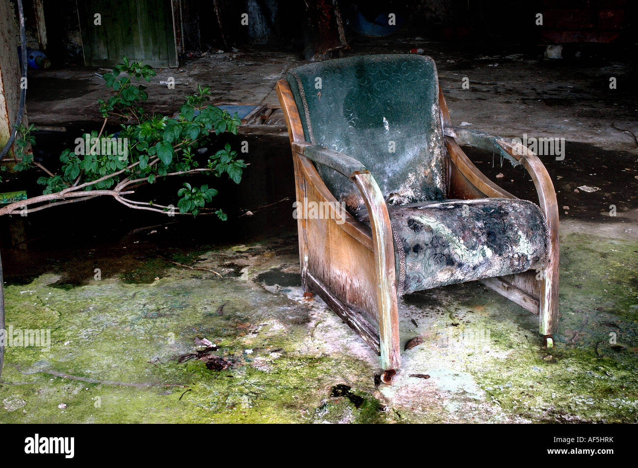 VIEJA SILLA Foto de stock