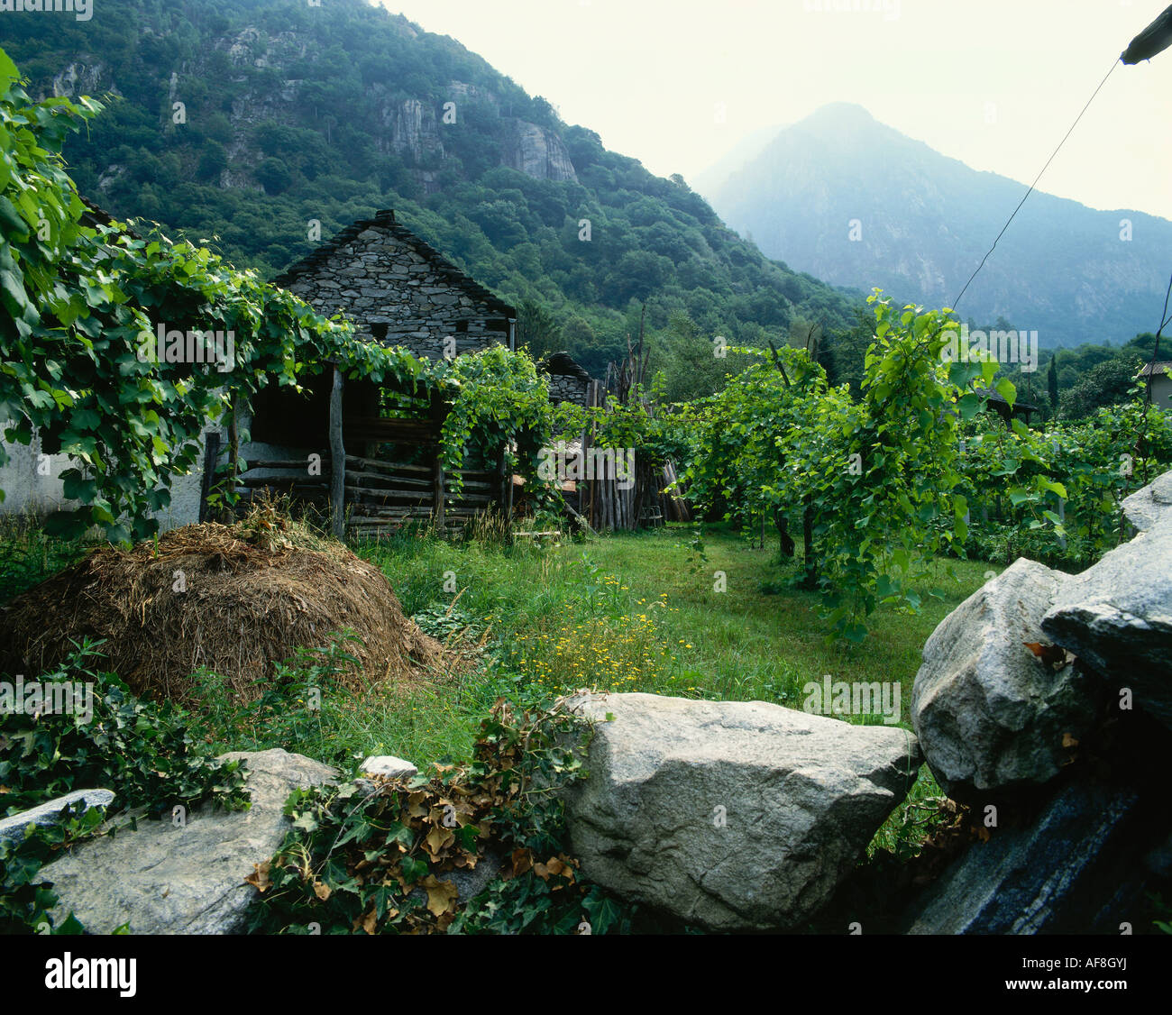 Valle de Maggia, Tesino, Suiza Foto de stock