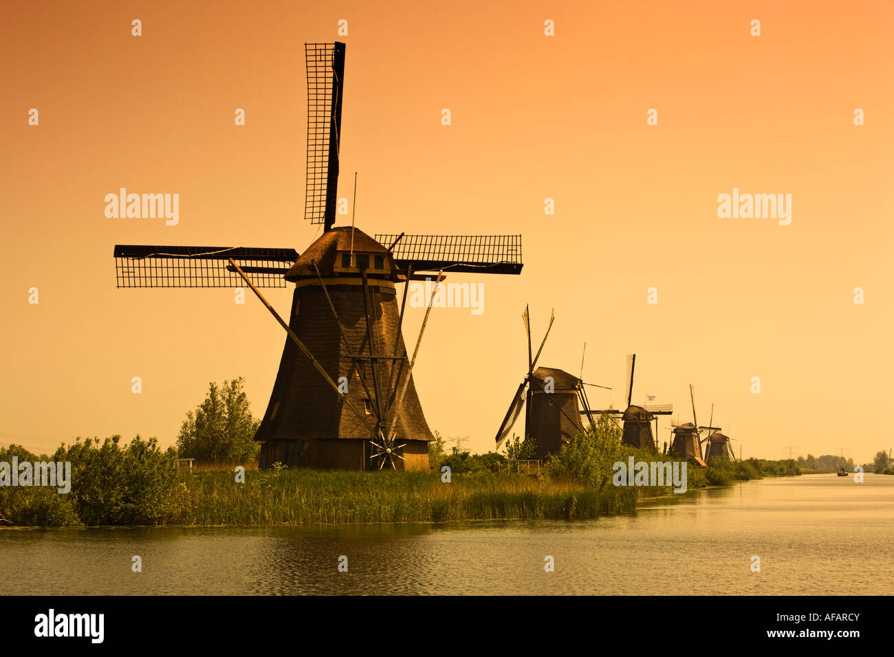 Países Bajos - Dutch windmill molinos de viento al atardecer en Kinderdijk, Holanda, Países Bajos, Europa Foto de stock