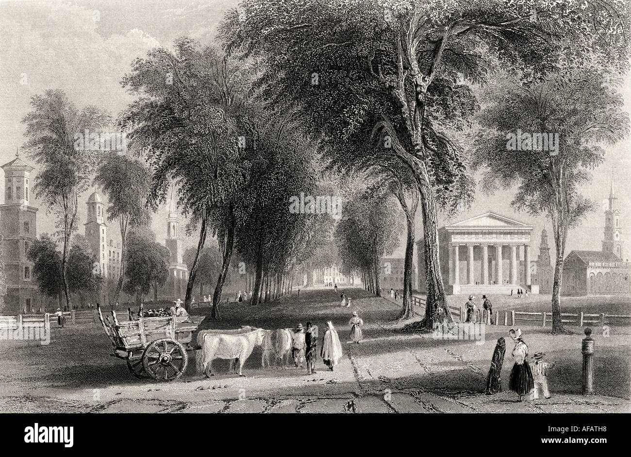 Yale College, Newhaven, Connecticut, EE.UU. En el siglo 19. Foto de stock