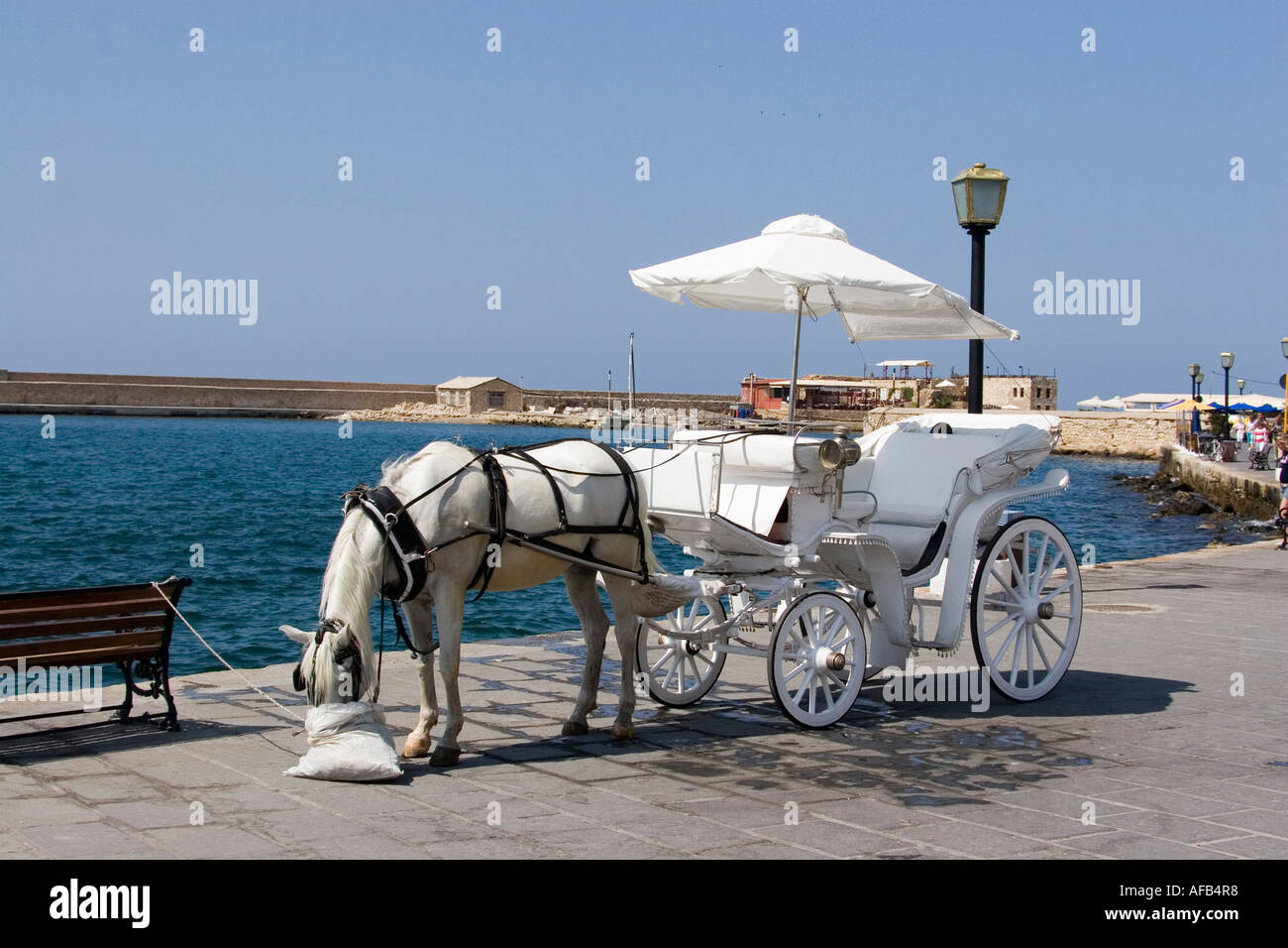 Comer del caballo nosebag mientras espera para turistas en la isla griega de Creta. Foto de stock
