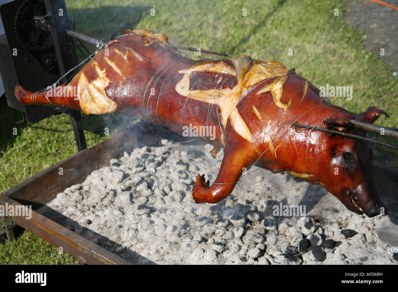 Cerdo horneado al exterior de carbón Fotografía de stock - Alamy