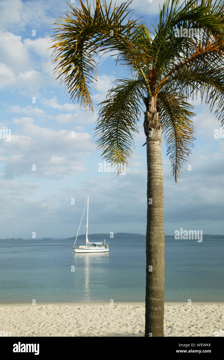 Un Yate enmarcado por una palmera que esté anclado en la Bahía de Nelson NSW, Australia Foto de stock