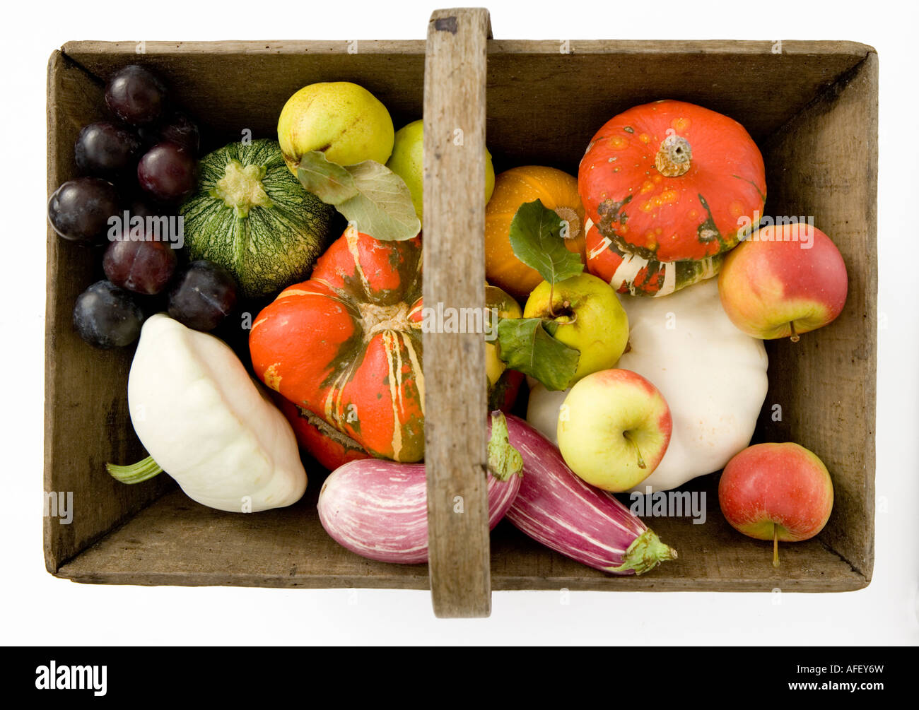 Festival de la cosecha selección de frutas de temporada y vegtables presentados en una madera o trug cesta Foto de stock