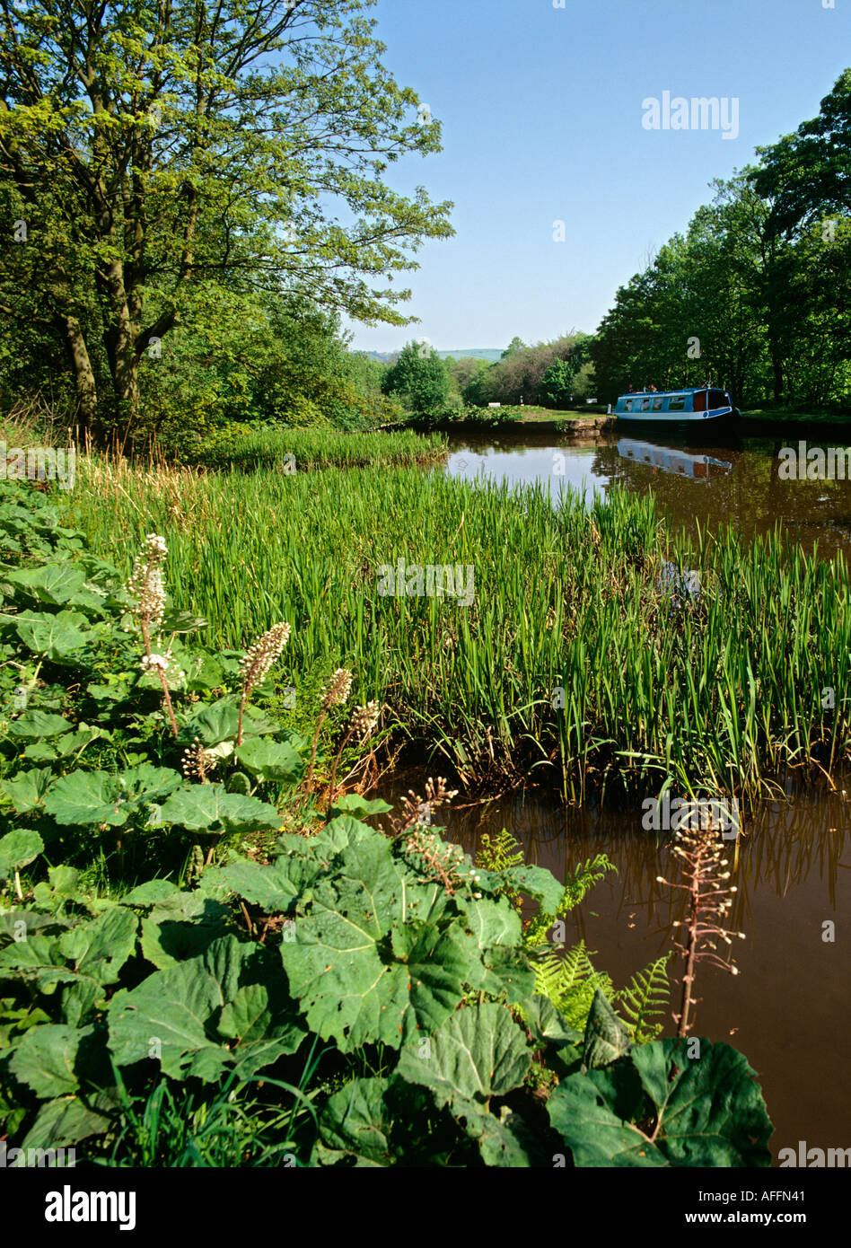 Cheshire Macclesfield Marple Stockport Canal Foto de stock