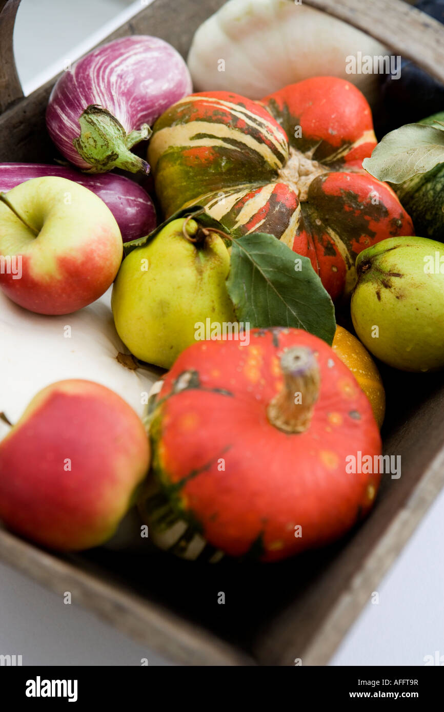 Festival de la cosecha selección de frutas de temporada y vegtables presentados en una madera o trug cesta Foto de stock