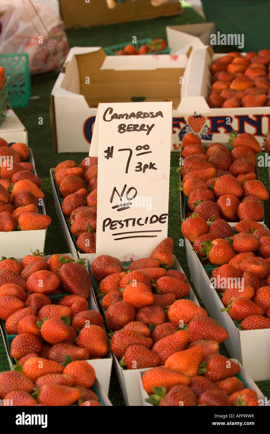 Fresas para la venta en el Mercado de Granjeros de Santa Mónica, cerca del Paseo de la Calle Tercera Foto de stock