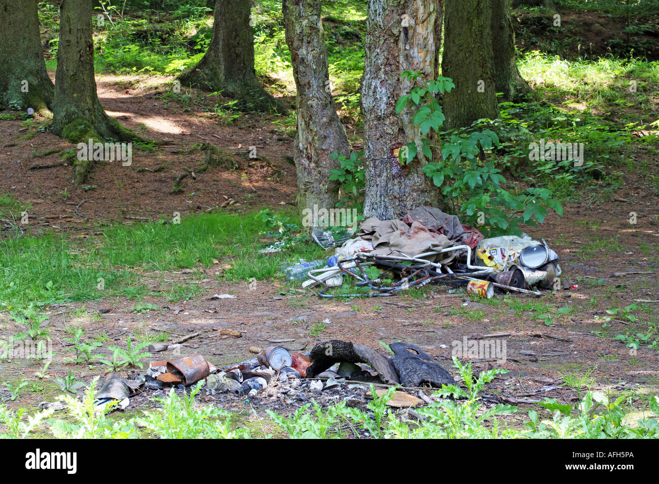 Desechar los residuos en el bosque cerca de una chimenea en un camping Foto de stock