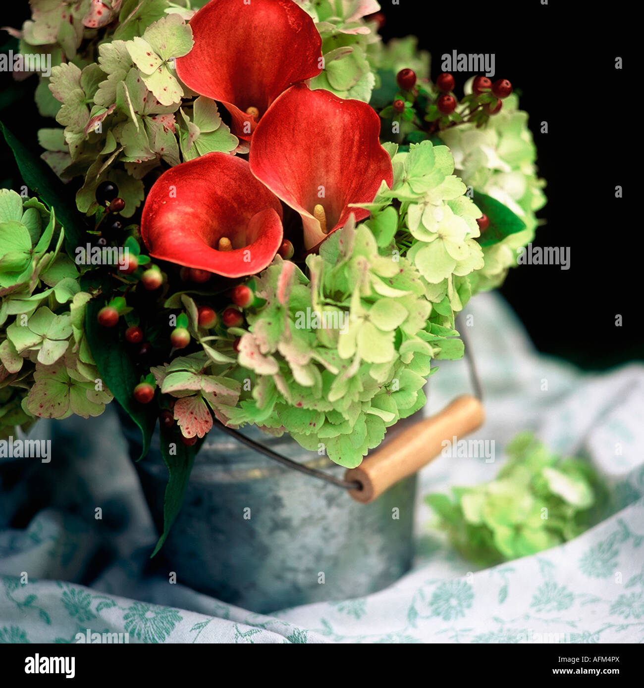 Still-Life floral de Calas de color rojo y verde hydrangea flores en  pequeña cuchara de metal galvanizado Fotografía de stock - Alamy