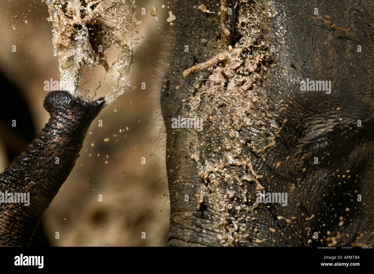 Indiany Fotografías E Imágenes De Alta Resolución Alamy