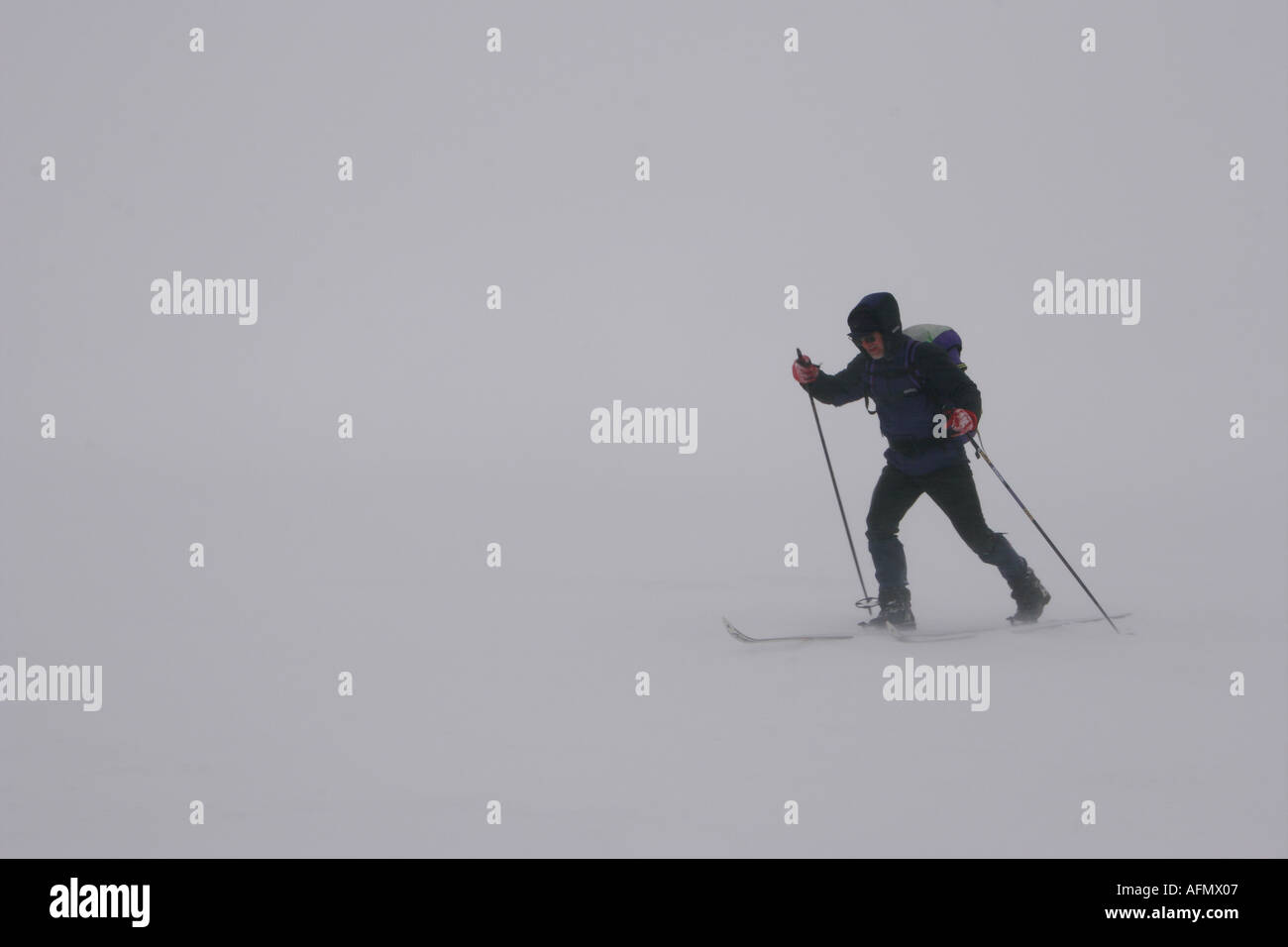 Esquí de fondo en condiciones Whiteout Teesdale superior Foto de stock